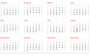 Full-year calendar